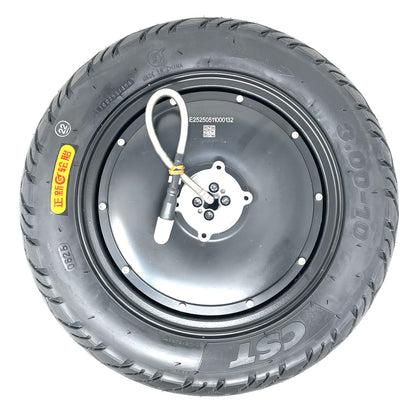 0.13702900 176487544765280369